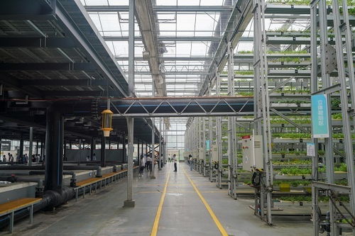 科技賦能山城新畫卷 重慶創(chuàng)新成果引領(lǐng)鄉(xiāng)村振興之路